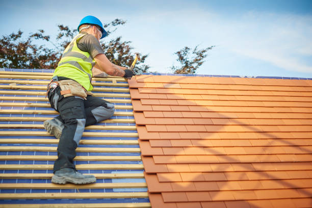 Best Skylight Installation and Repair  in Bullhead City, AZ